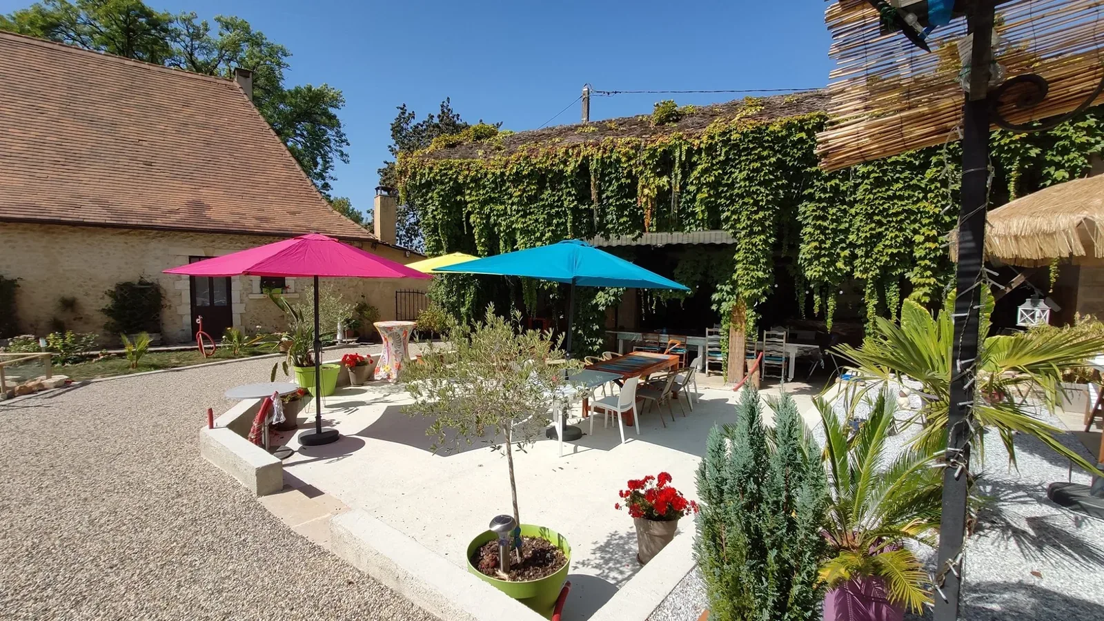Terrasse de chambre d'hôtes avec des tables, des chaises et des parasols colorés devant une grange couverte de vigne vierge